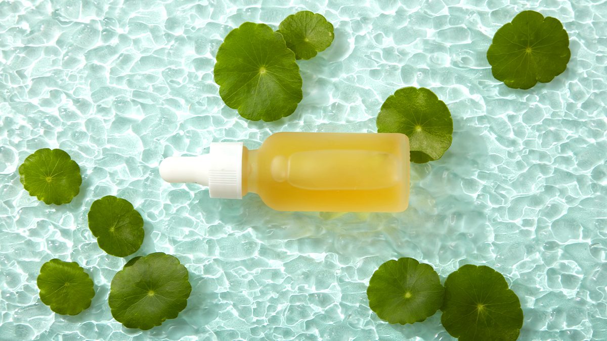 O que é a centella asiatica e como é utilizada na cosmética? 1 O que é a centella asiatica e como é utilizada na cosmética?