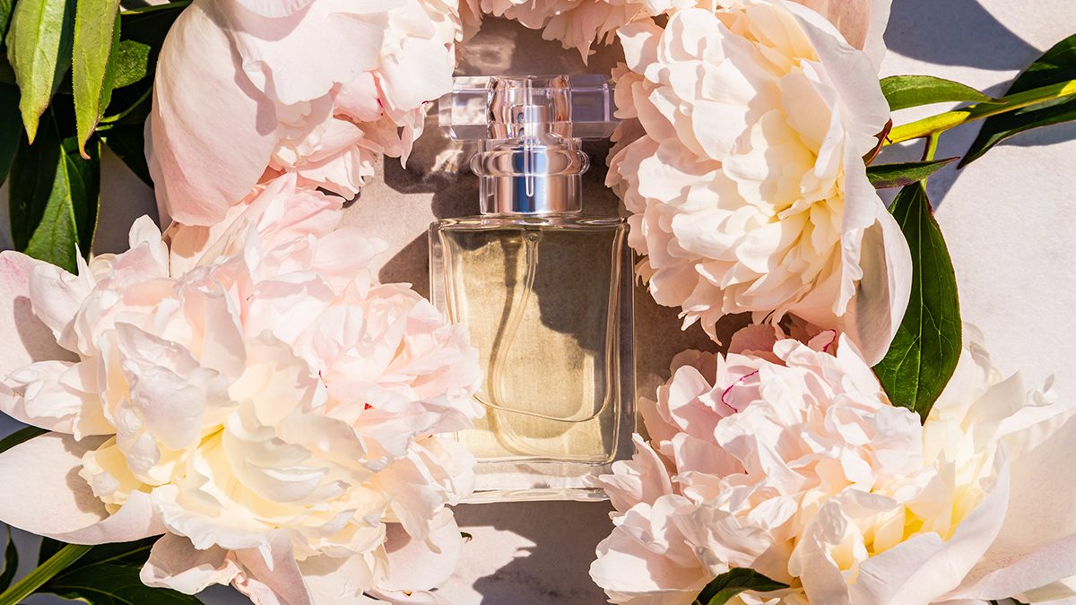 Os 20 melhores perfumes Low Cost e duradouros de 2026 1 Os 20 melhores perfumes Low Cost e duradouros de 2026