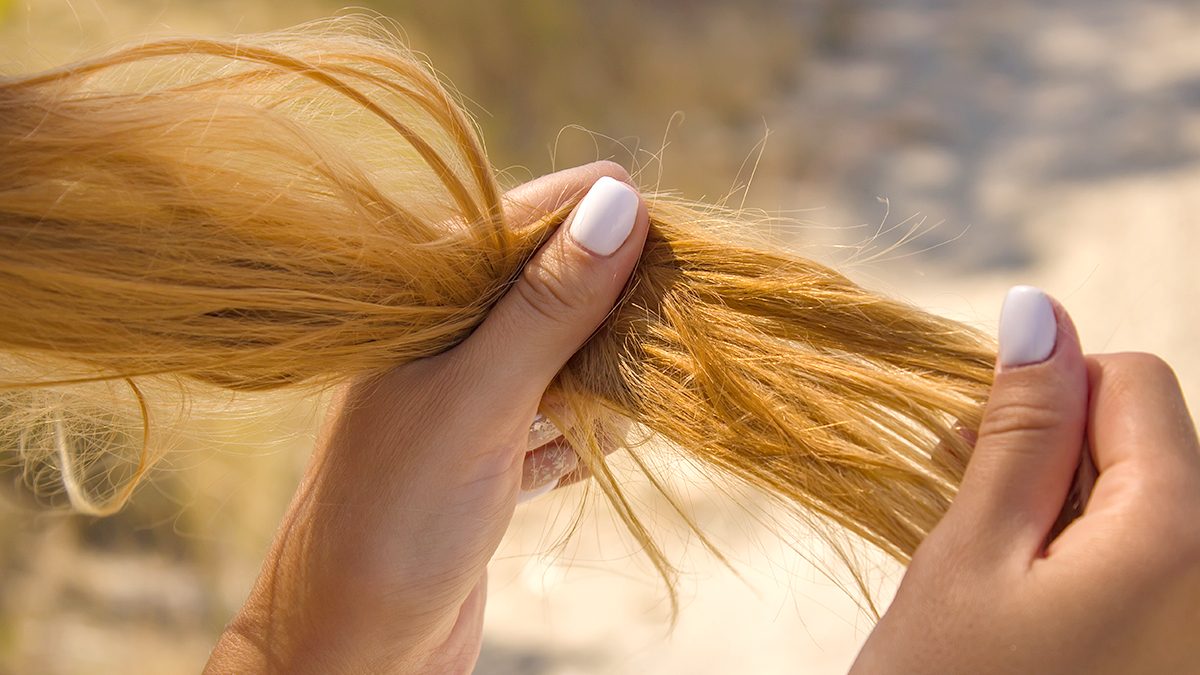 Como reparar o cabelo muito danificado: dicas e os melhores produtos 1 Como reparar o cabelo muito danificado: dicas e os melhores produtos