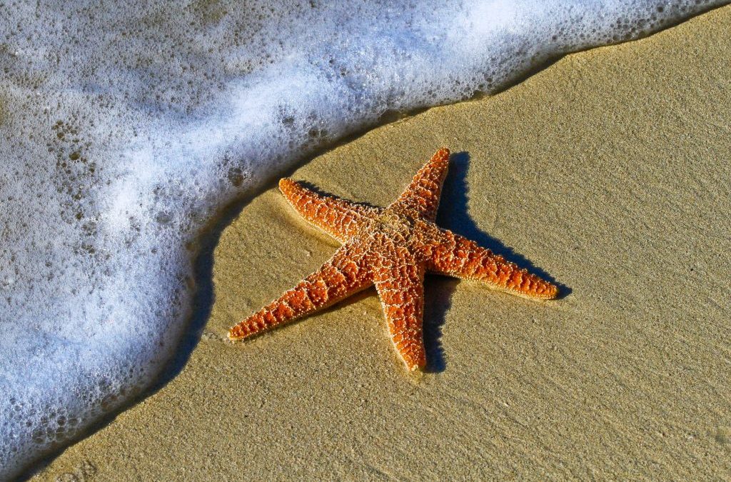 Directo Porporaporpita en Instagram: Favoritos Verano ??