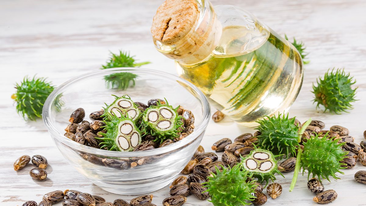 Aceite de ricino: propiedades, beneficios y cómo usarlo en 2026