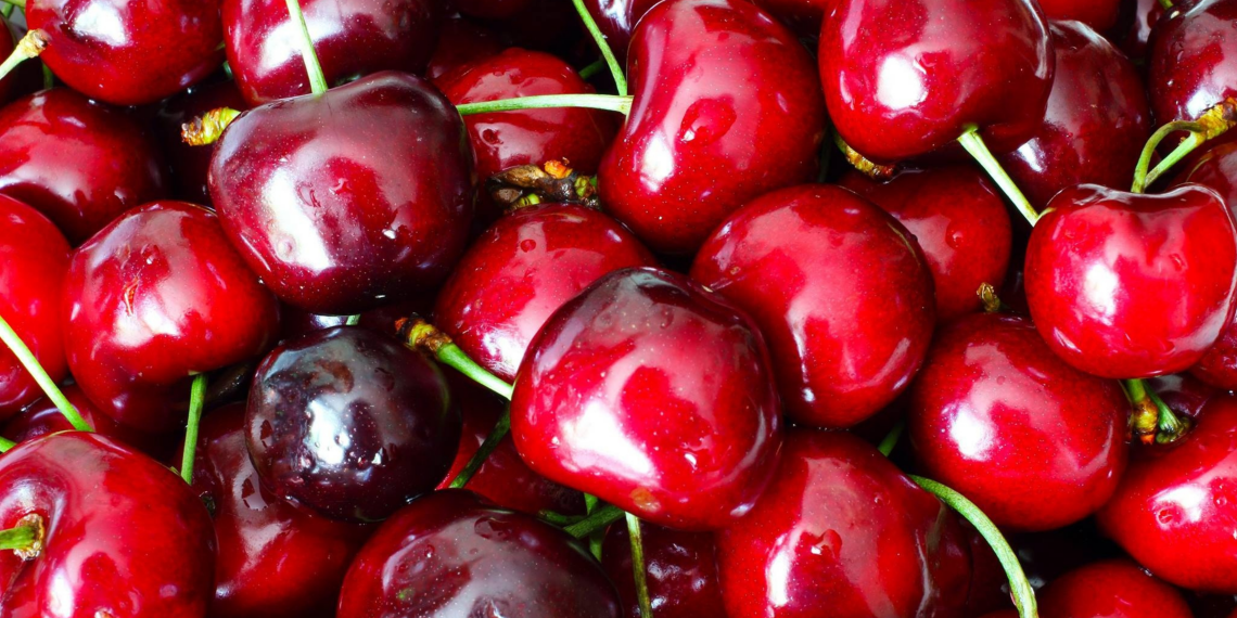 Descubre los aromas más frutales de The Fruit Company