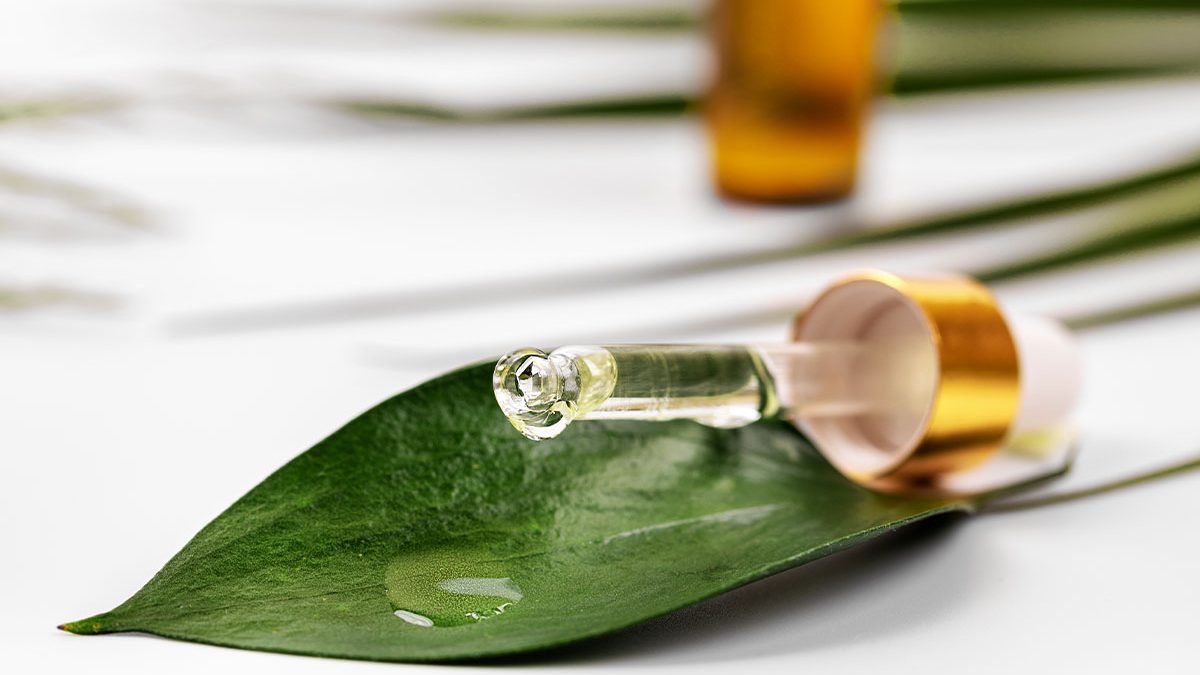 Guía completa del aceite de árbol de té: usos y propiedades recomendados por los mejores expertos