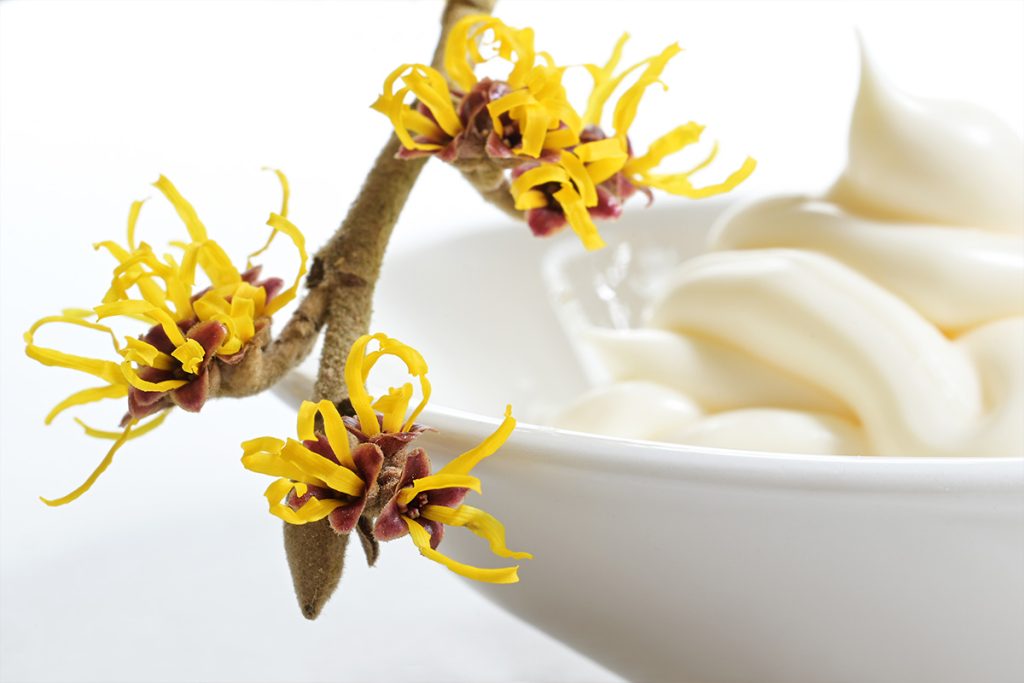 Te contamos qué es el hamamelis y qué beneficios tiene