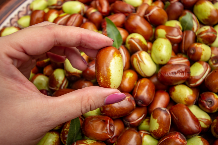 Aceite de jojoba: qué es y qué beneficios tiene para la piel