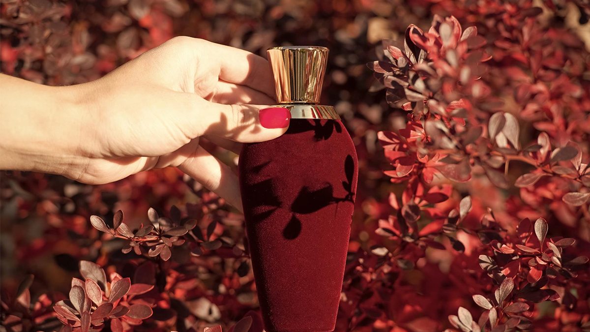 Los perfumes descatalogados más famosos y sus alternativas actuales
