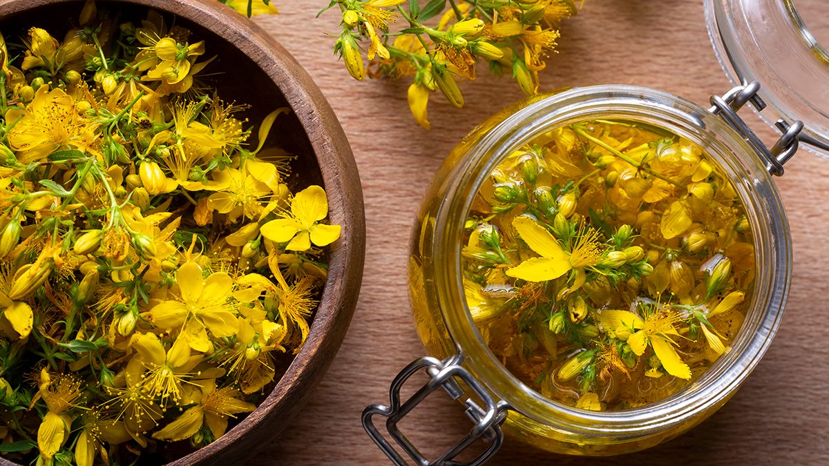 ¿No conoces el aceite de hipérico? Te contamos la cantidad de usos que tiene