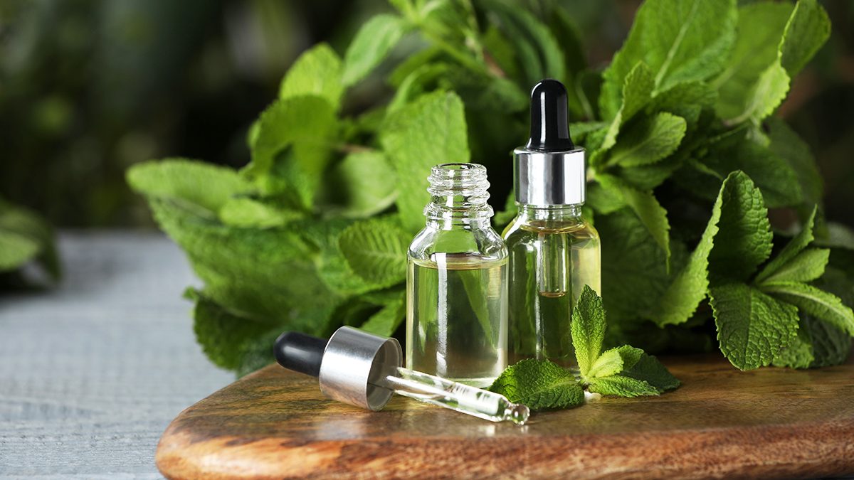 Aceite de menta: qué usos y propiedades tiene