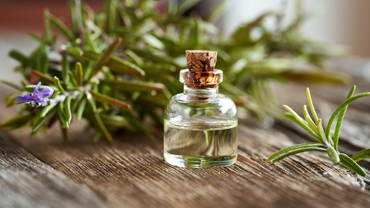 Cómo aprovechar los beneficios del aceite de romero y los mejores productos en 2026