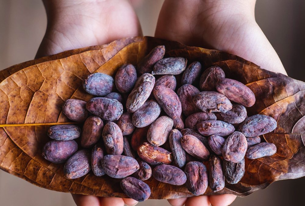 El cacao y sus propiedades para la piel con SOAP & GLORY