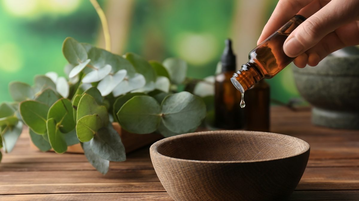 Propiedades y usos tiene el aceite esencial de eucalipto