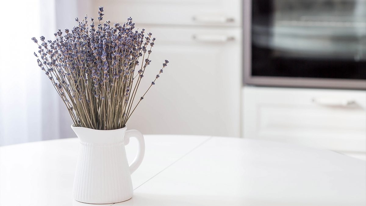 Todas las plantas que puedes cultivar en casa y que sirven también en cosmética