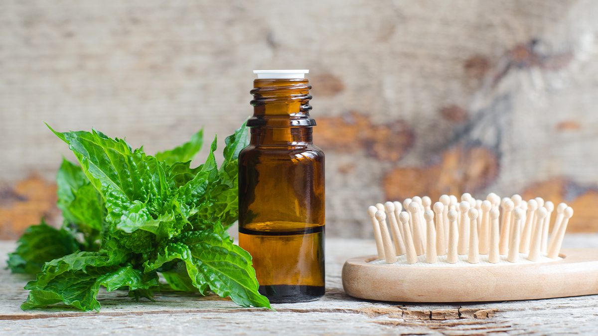 Todos los beneficios del aceite de menta para el pelo, según expertos