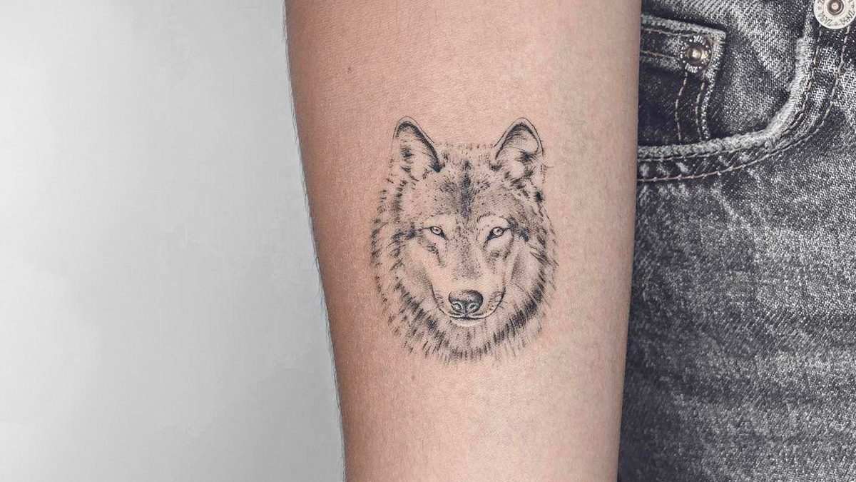 Antes de tatuarte un lobo, debes conocer todos sus significados