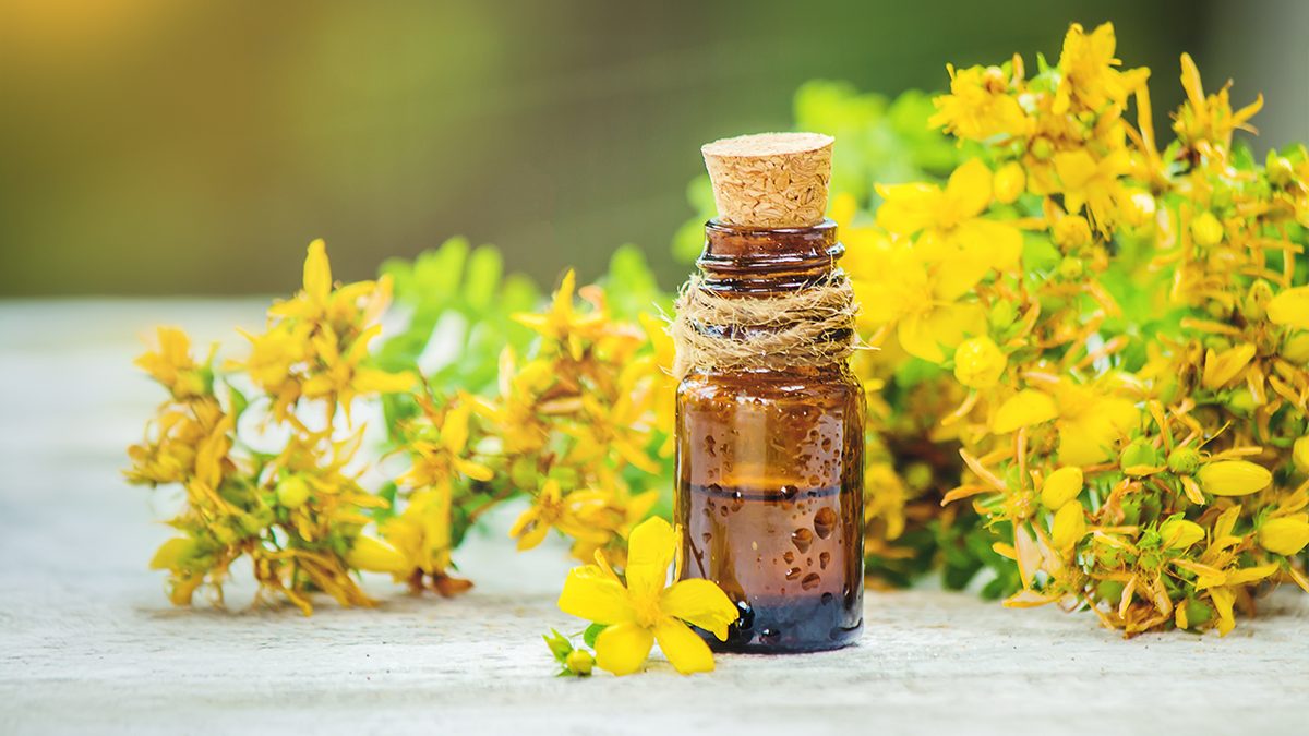 Aceite de nabina: qué es, cuáles son sus usos y todos sus beneficios