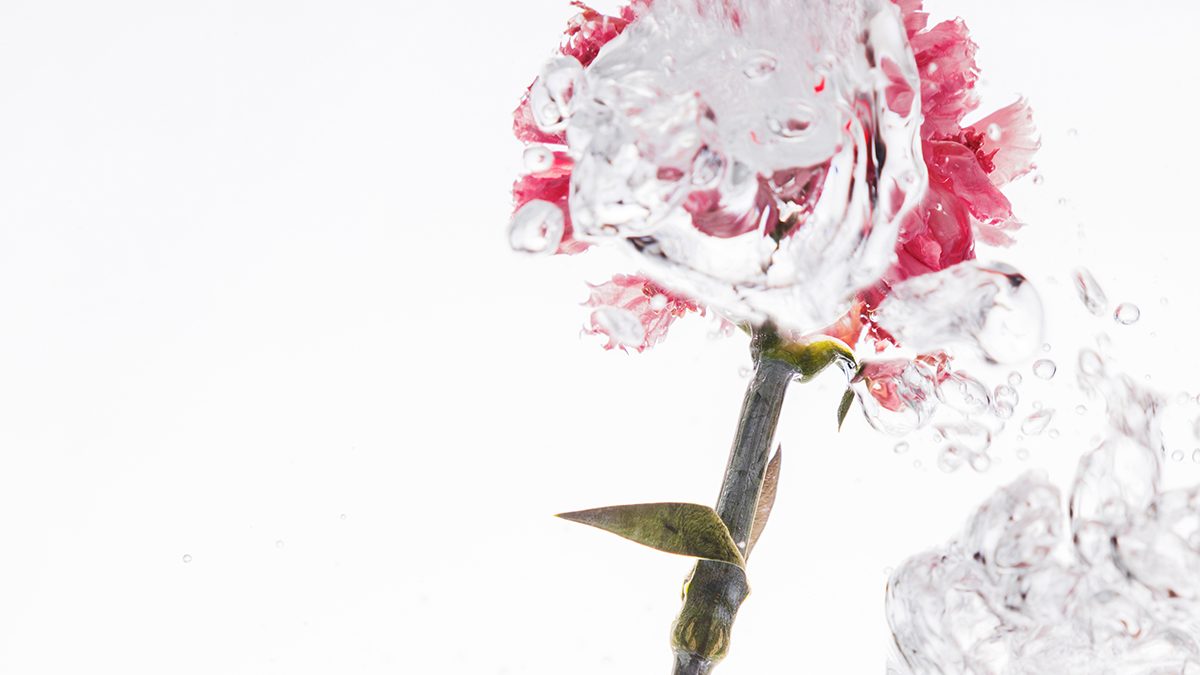 Tónico con agua de rosas, el secreto de Byphasse