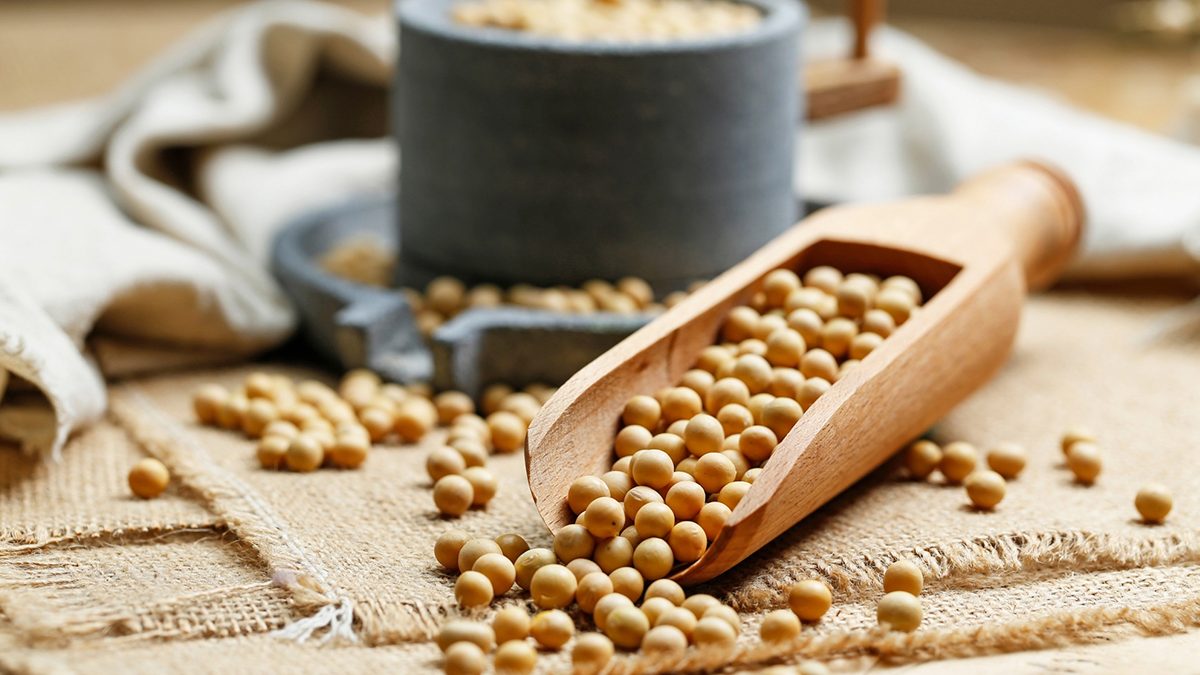 Lecitina de soja: qué es, propiedades y beneficios