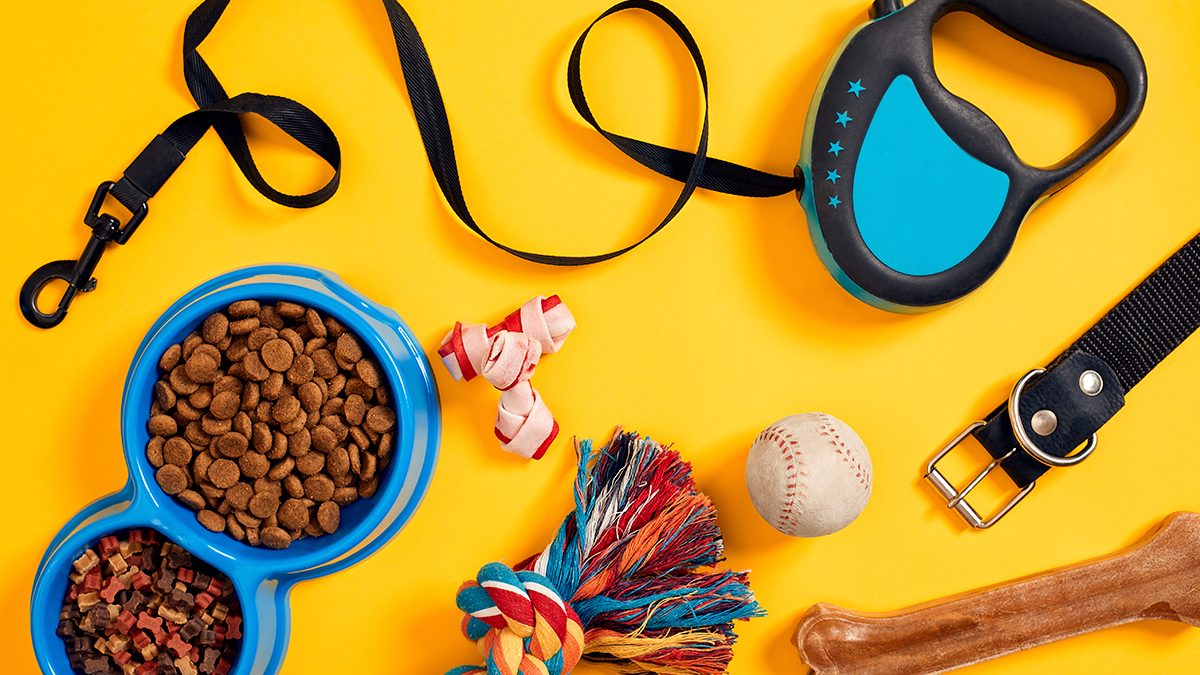 Los productos que deberás tener sí o sí para tu mascota