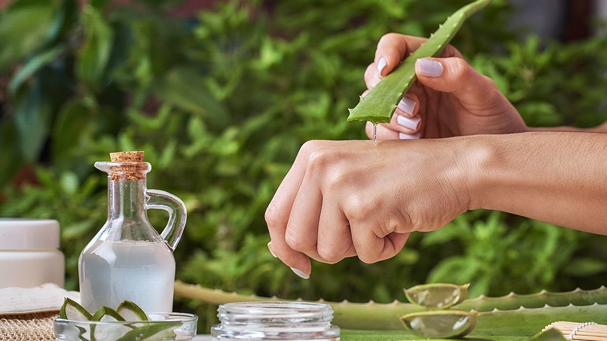 Por qué el aloe vera es importante en invierno para la piel y el cabello